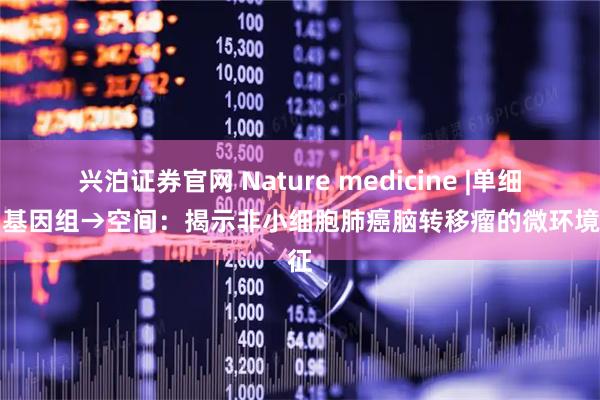 兴泊证券官网 Nature medicine |单细胞→基因组→空间：揭示非小细胞肺癌脑转移瘤的微环境特征